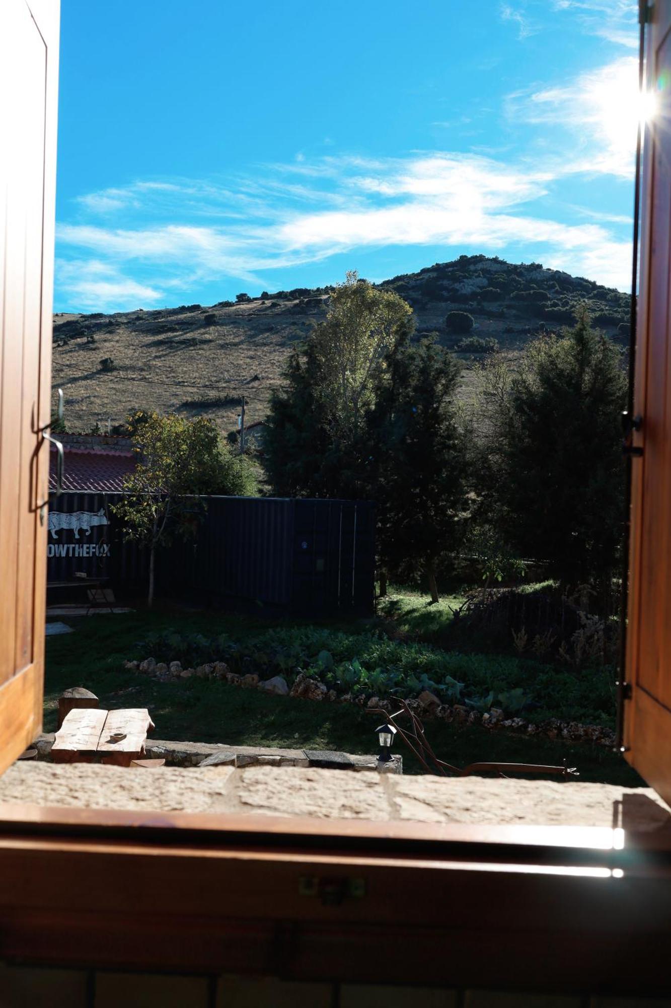 Diminio 1 Whole House -